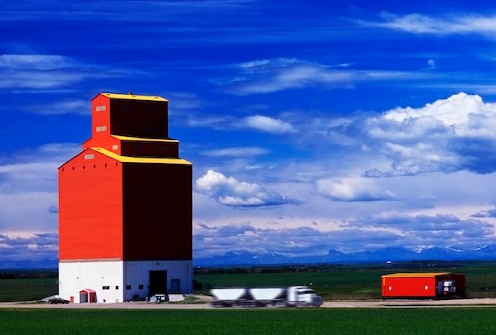 More Asset Management