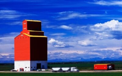 More Asset Management